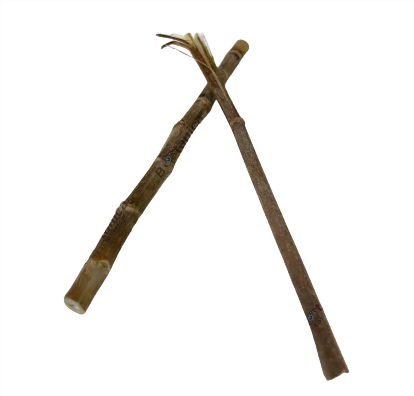 PALO POMARROSA