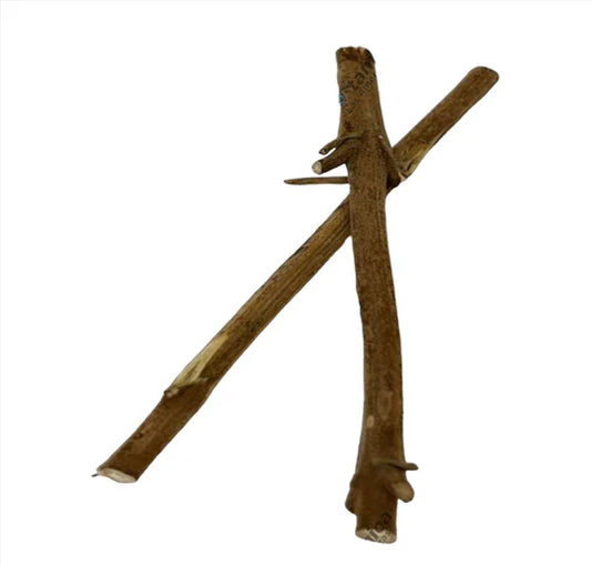 PALO TENGUE